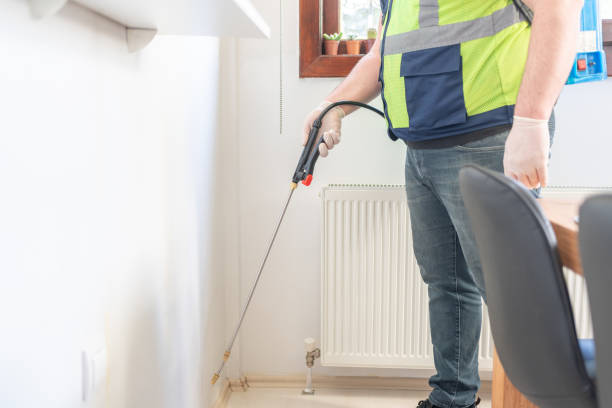Trusted Kihei, HI Pest Control Experts
