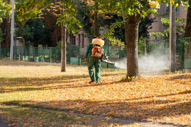 Best Pest Control Near Me in Kihei, HI